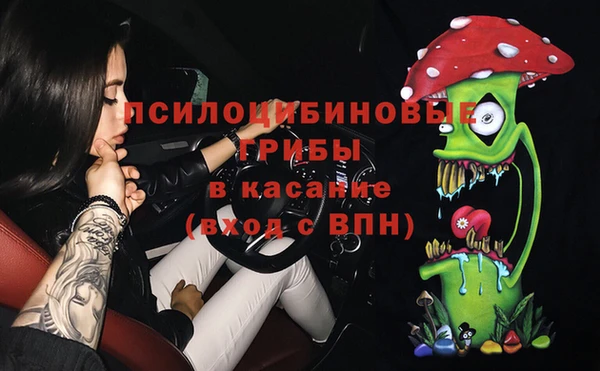 крисы Алексин