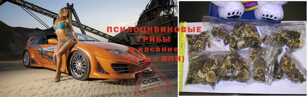 а пвп мука Переславль-Залесский