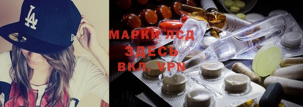 крисы Алексин
